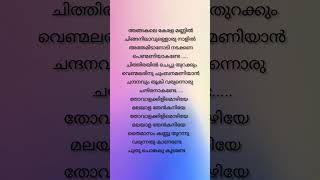 Sundariye✨ song lyrics malayalamsonglyrics music statusvideo shorts youtubeshorts trending [upl. by Aranahs]