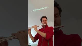 Ideas for Practicing Flute Scales by Reichert [upl. by Ellebana]