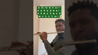 Nigeria We Hail Thee  “New” National Anthem  Tonic Solfa  Flute [upl. by Crisey]