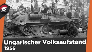 Ungarischer Volksaufstand 1956 einfach erklärt  Ursache Ablauf und Folgen  kurze Zusammenfassung [upl. by Inuat]