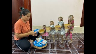 4 Siblings Standing Up Very Obediently Waiting Mom To Prepare Snack For Them [upl. by Alden]