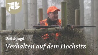 DRÜCKJAGD STORIES  Mehr Sauen als je zuvor  Best of mit der Driven Hunt [upl. by Ylicec]