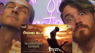 Alaikadal  PS1  Karaoke with Lyrics  unplugged  Mani Ratnam  AR Rahman  Sebin Xavier [upl. by Idnyl151]