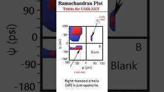 Ramachandran Plot Tricks csirnet mnemonics [upl. by Rimma126]