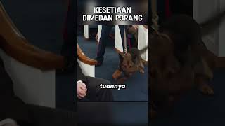 KESETIAAN TERAKHIR DIMEDAN P3RANG [upl. by Anol750]