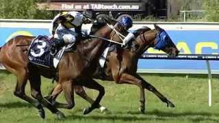 SUPER SATURDAY Buffering wins the 2013 Winterbottom Stakes [upl. by Goode]