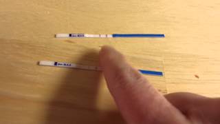 PREGNANCY TEST FALSE POSITIVE from POSITIVE Test [upl. by Laroy153]