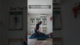 Stretching of the adductor muscles gracilis muscles and inner thighs by Master Yuki [upl. by Cirederf]