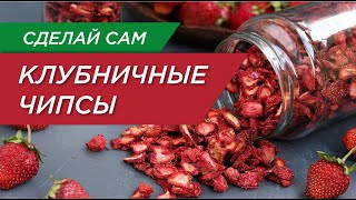 Вкусные чипсы из клубники с тимьяном в дегидраторе Tribest [upl. by Lyall]