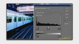 Correcting Contrast in Adobe Photoshop Elements with Levels For Dummies [upl. by Dusen]
