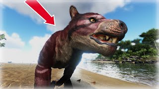 Taming Thylacoleo  Ark Survival Evolved  PART 9 [upl. by Yaker]