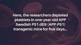 Platelet Depletion Augments Alzheimer’s Disease Neuropathological Hallmarks  AgingUS [upl. by Kaliope]