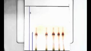 10 Thin layer chromatography  TLC [upl. by Nnyleak244]