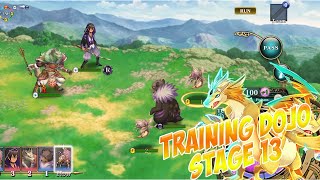 Training Dojo Stage 13 Evertale [upl. by Silera]