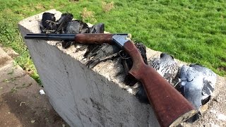 Crow Shooting around a farmyard [upl. by Lekcar]