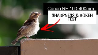 Canon RF 100400mm Sharpness and Bokeh Test [upl. by Stanley]