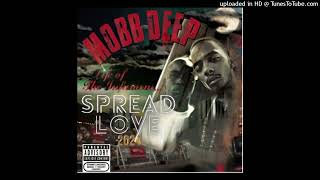 Mobb Deeps MindBlowing Spread Love Remix 2024 [upl. by Aicilanna]