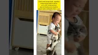 funnyvideo animalmindvoice tamilvoiceover [upl. by Mazel370]