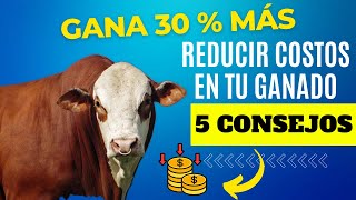 🐂5 CONSEJOS PODEROSOS PARA BAJAR COSTOS EN TU GANADERÍA⭐🐄 GANA MÁS GASTANDO MENOS ✅ [upl. by Dibb]