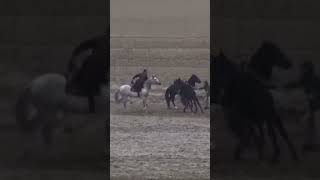 Buzkashi kunduz Afghanistan 🇦🇫 [upl. by Tammany413]