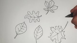 Kako nacrtati razne Jesenje listoveHow to draw Autumn Leaves 5 different shapes [upl. by Coheman]