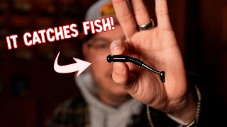 The Best Fishing Lure for Beginners that ANYONE Can Catch Fish With [upl. by Balfour]