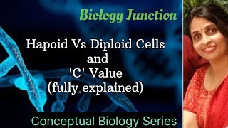 What is Haploid or Diploid Cells  C value l NEET  Boards [upl. by Jablon644]