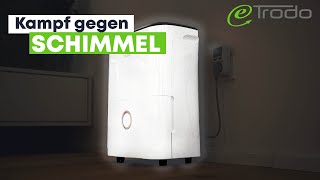 Midea DF20DEN7WF Luftentfeuchter  Kampf gegen den Schimmel [upl. by Davidde823]