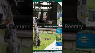 PetSafe Original Wireless Electric Fence A Game Changer for Pet Containment [upl. by Gladi410]