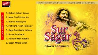 Sur Sagar Sajan Mhare Ghari Pravin Godkhindi [upl. by Lindie]