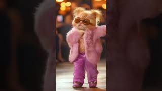 Cat’s Groovy Moves Must Watchcat fashion dance cute funny [upl. by Lambertson]