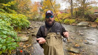 Fly fishing for wild brook trout in Stowe VT [upl. by Gwenneth]