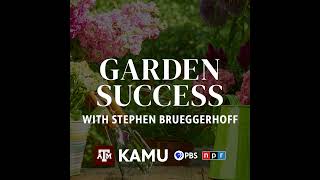 Garden Success – 7252024 QampA With Stephen Brueggerhoff [upl. by Odarnoc]