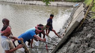 fish pond repairing and cement slab setup  concrete construction and design in pond fishinfo [upl. by Iborian]