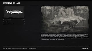 RED DEAD REDEMPTION 2 COMPÊNDIO PEIXES  ESTURJÃO DE LAGO 8 [upl. by Airtemad]