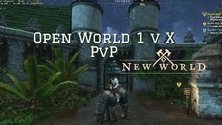 Spear Rapier Open World PVP New World  Out numbered [upl. by Aynad174]