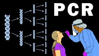 PCR  POLYMERASE CHAIN REACTION [upl. by Enitsuj]