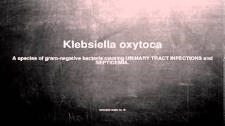 Medical vocabulary What does Klebsiella oxytoca mean [upl. by Hakaber]