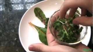 How To Make a Gourmet Microgreen Salad [upl. by Zrike]