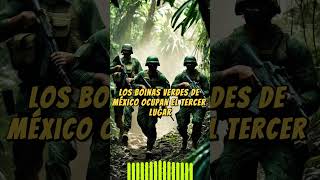 Top 5 💥 Fuerzas ESPECIALES de Latinoamérica [upl. by Pennie]