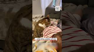 Pet Cat Comforts Crying Toddler [upl. by Yaeger]