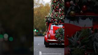 Christmas Mini in Mayfair London london christmas christmasdecor londonphotographer mini [upl. by Ylrebmyk66]