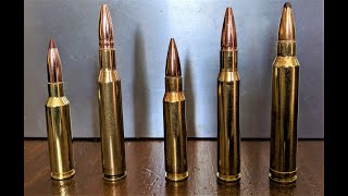 5 Best Hunting Rifle Cartridges for New Hunters [upl. by Eladnwahs809]