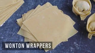 Homemade Wonton Wrappers  云吞皮  馄饨皮 [upl. by Aissatsan816]