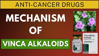 Mechanism of Action of Vincristine Vinblastine and Vinorelbine [upl. by Eelanej964]