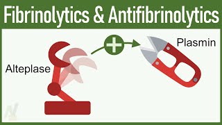 Fibrinolytics amp Antifibrinolytics Pharmacology [upl. by Eillib59]