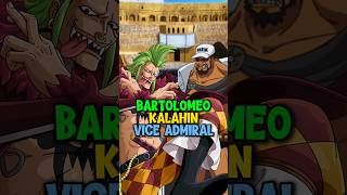 Momen Bartolomeo Kalahin Vice Admiral ❗ reviewanime onepiece [upl. by Tartan191]