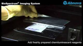 BioSpectrum® Imaging System [upl. by Cornish]