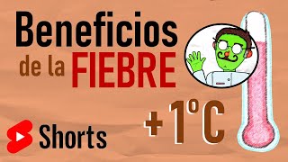 La Fiebre 🤒  El Sistema Nervioso y el Inmunológico  SHORT 2 [upl. by Andra831]