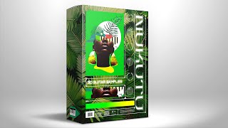 FREE Afrobeat SAMPLE Pack 30 Afrobeat Melodies [upl. by Ahsikal589]